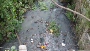 NGT Takes Cognizance Of Non-Compliance With Ramnadi Pollution Orders; Issues Notice To Pune Municipal Corporation