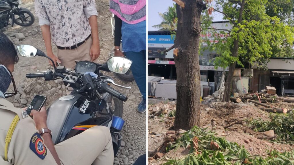 Pune: Timely Citizen Intervention Helps Save 368 Trees from Felling On Katra - Kondhwa Road