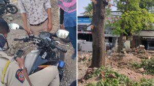 Pune: Timely Citizen Intervention Helps Save 368 Trees from Felling On Katra - Kondhwa Road
