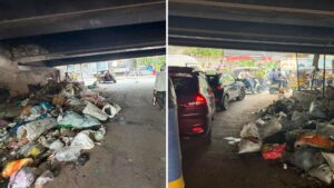 Pune News: Garbage Dumping Under Swargate Flyover Sparks Health Concerns
