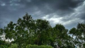 El Niño Threat Looms Large: Drought Risk For Maharashtra, 11 Other States As Rainfall Deficit Deepens