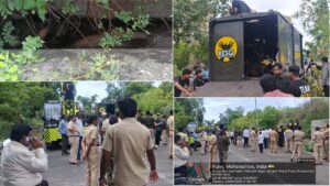 Pune: Wild Gaur Rescued Safely After Getting Trapped In Water Pipeline On Sinhagad Road