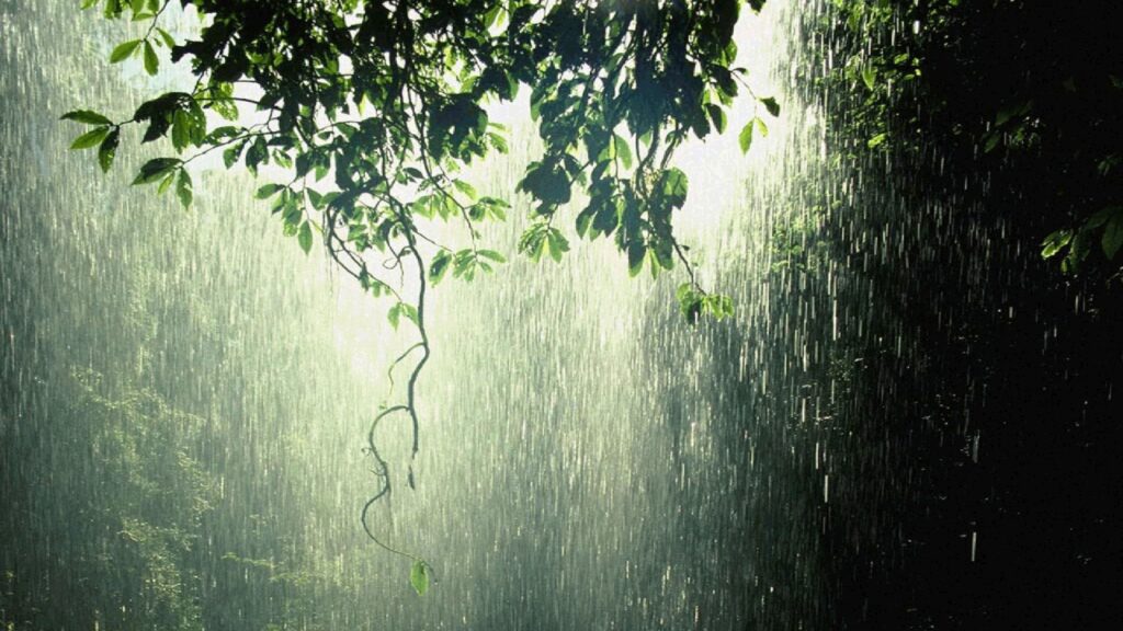 Maharashtra Weather Alert For June 3: IMD Issues Yellow Alert for Rain, Thunderstorms in 18 Districts