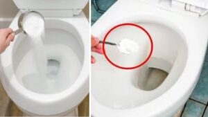 Does Putting Salt in the Toilet Overnight Really Work? It Helps a Little But Here's What Works Better