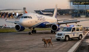 Dog on Runway Forces Aborted Take-Off of Jaipur Flight at Pune Airport; Over 120 Passengers Affected