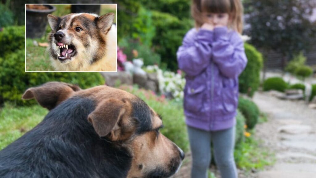Fear of Dogs Needs Empathy: It's Not Hatred Always; Past Experiences Often Shape Reactions