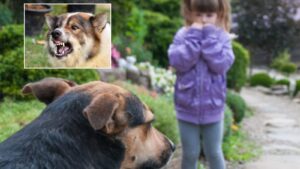 Fear of Dogs Needs Empathy: It's Not Hatred Always; Past Experiences Often Shape Reactions