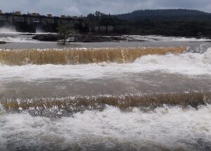 IMG-20260707-WA0174