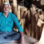 Bengaluru Man Receives ₹28 Lakh After 40-Year-Old Sandalwood Tree Falls in Storm