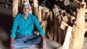 Bengaluru Man Receives ₹28 Lakh After 40-Year-Old Sandalwood Tree Falls in Storm