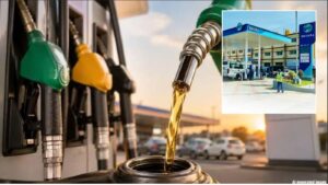 Petrol Cheaper by ₹5, Diesel by ₹3 as Nayara Energy Cuts Fuel Prices