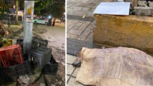 Stray Dog Dies Of Electrocution Due To Power Leakage From PMC Roadside Electric Pole
