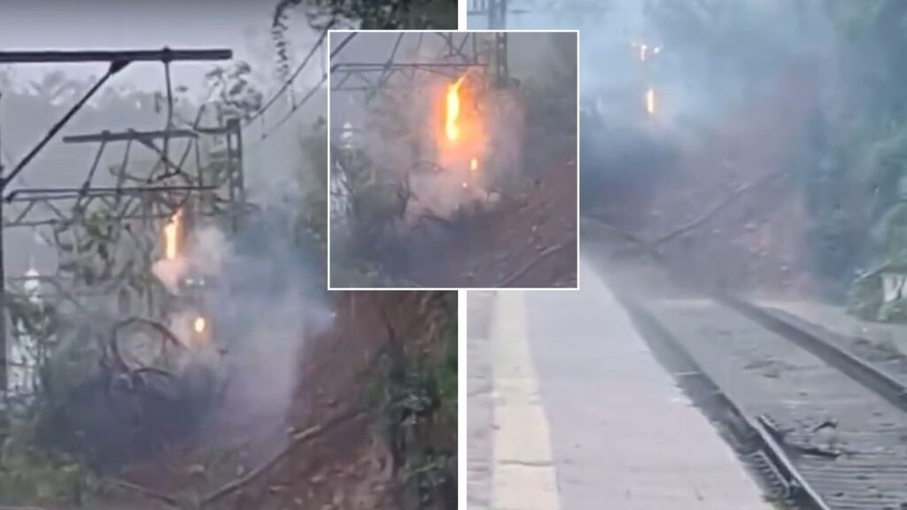 Tree Falls on Overhead Electric Wire Near Khandala, Disrupts Mumbai-Pune Rail Services