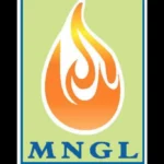 Pune: MNGL plans to strengthen CNG & PNG infrastructure to meet growing energy demand across PMC and PCMC
