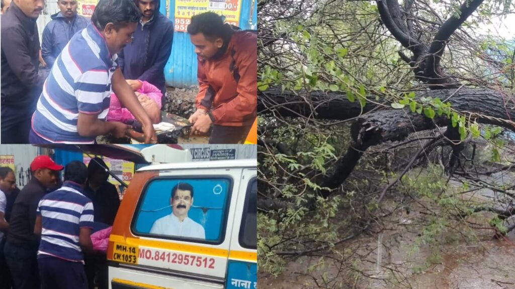 Pimple Saudagar: Man Seriously Injured After Tree Falls on Kunal Icon Road Amid Heavy Rain