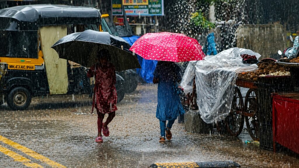Maharashtra Weather Alert: IMD Warns of Heavy Rain, 60 kmph Winds; Alerts Issued Across 24 Districts