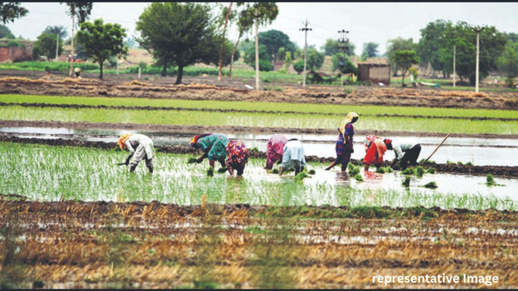 26,200 Farmers Across Pune Division Embrace Natural Farming; ₹13.95 Crore Subsidy Boosts Sustainable Agriculture
