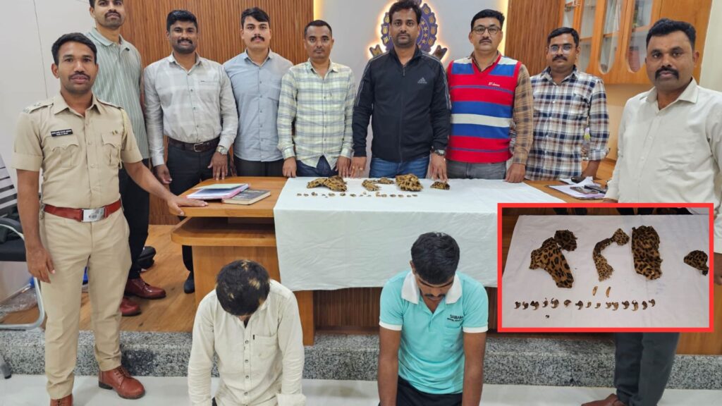 Pune News: Two Held For Attempting To Sell Leopard Skin And Claws