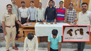 Pune News: Two Held For Attempting To Sell Leopard Skin And Claws