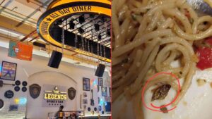 Pune: Customer Finds Dead Cockroach In Pasta At Baner Restaurant, Complaint Filed With FDA