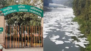 Pune: NGT Issues Notice To Maharashtra Chief Secretary And Union Ministry Secretary In Pavana River Pollution Case