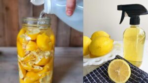 Stop Throwing Away Lemon Peels: 5 Brilliant Uses of Mixing Them with Vinegar