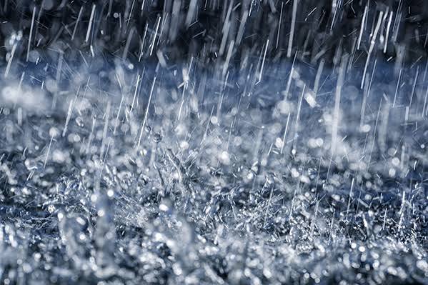 Maharashtra Weather Alert: IMD Issues Yellow Alert for 16 Districts, Heavy Rain Likely Over Next 24 Hours